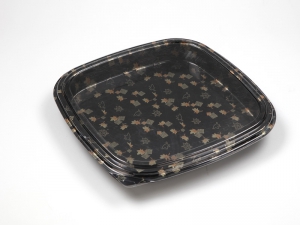 WP-20~Party Trays