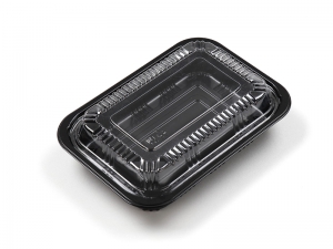 WJ-825~Lunch Box