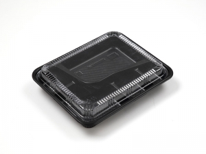 WJ-8305~Bento Box