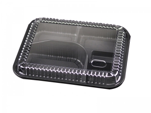 WJ-306B~Bento Box