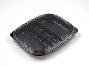 WP-8401~Bento Box